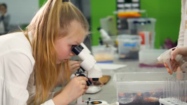 Jonge meisjes met Microscoop in het onderzoekslab van de school op zoek naar de Microscoop. — Stockvideo