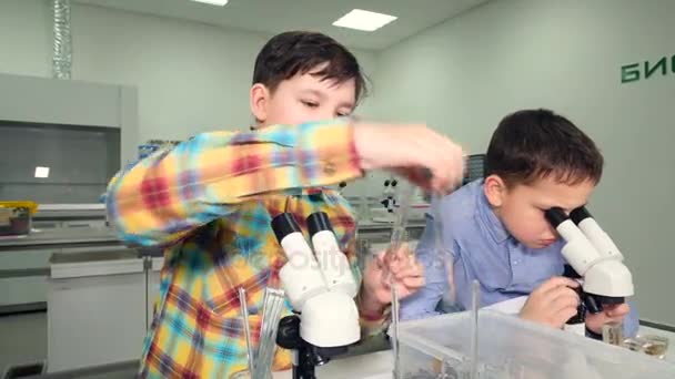 Αγόρια Δημοτικού ηλικίας κάνοντας πειράματα επιστήμης στο σχολικό εργαστήριο. — Αρχείο Βίντεο
