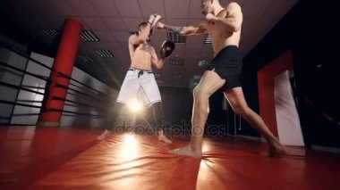 Kickboxers, boks, kavga için egzersiz mma savaşçıları. Ağır çekim.