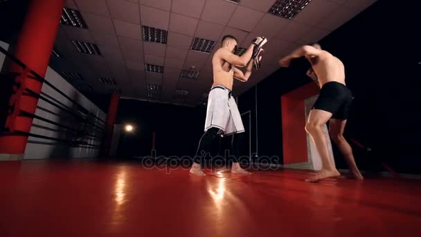 Dois lutadores a lutar. Treinamento de lutadores MMA . — Vídeo de Stock