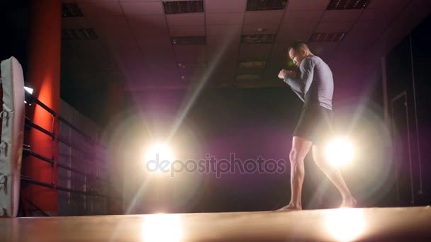 MMA, Mixed martial arts fighter shadow boxning i förberedelse för en kamp. Slow motion. — Stockvideo
