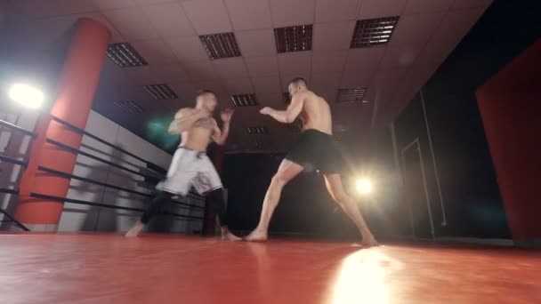 MMA Fighters En el entrenamiento de gimnasia . — Vídeo de stock