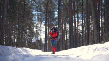 Çekici turistik ormanda hiking. Aktif erkek resimleri yan yatan kış ormanda yürüyüş sırasında. Ağır çekim.