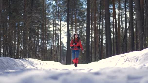Gyönyörű fiatal nő, túrázás és egy szép téli erdőben hátizsák. — Stock videók