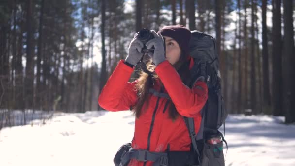 Close-up. Jovem bonita caminhadas com uma mochila na bela floresta de inverno . — Vídeo de Stock