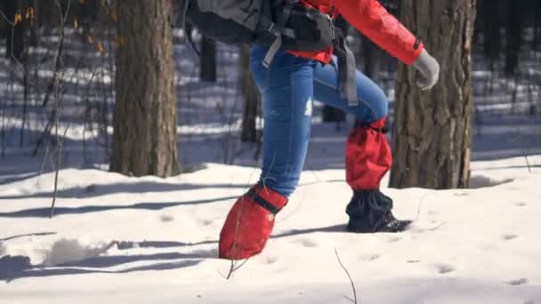 在雪的双腿。旅游的脚落在雪堆里徒步旅行时. — 图库视频影像