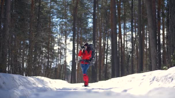 Attraktiv turist vandring i skogen. Aktiv kvinna under vandring i vinter skog kratta bilder. Slow motion. — Stockvideo