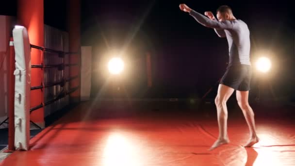 O treino do kickboxer sem parceiro. Boxe das sombras . — Vídeo de Stock