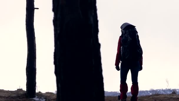 La silhouette turistica se ne sta andando guardandosi intorno . — Video Stock