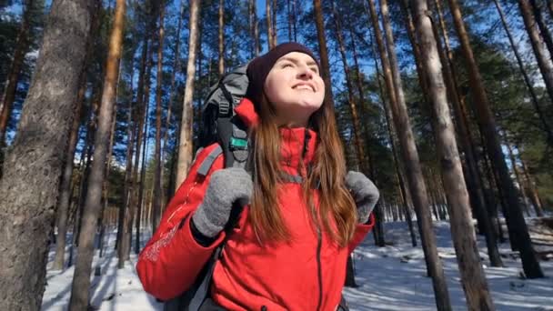 젊은 관광 여자는 숲에서 맑은 날을 즐기고. — 비디오