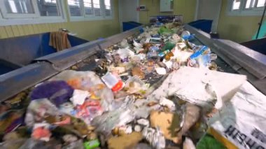 Yakın çekim. Bitkiler conveyor.4k üzerinde hareket atık.