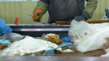 Konveyör bant atık sıralama işçi. 4k.