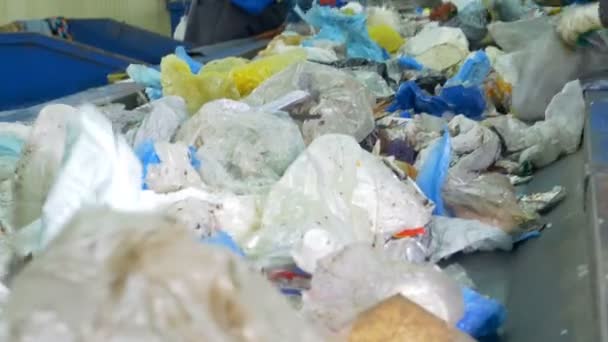 Soporna sorteras efter arbetare. Avfall avfallsanläggning. 4k. — Stockvideo