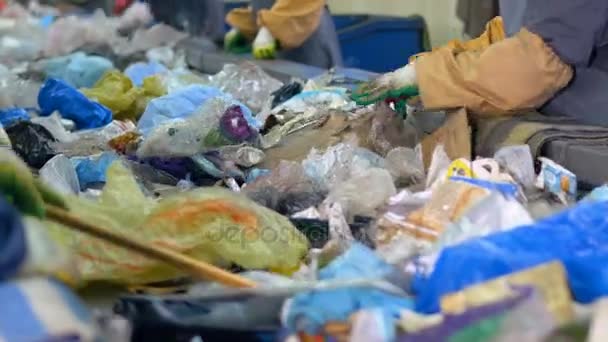 Mülltrennung durch Unerkannte. Nahaufnahme. 4k. — Stockvideo