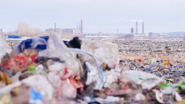 Close up view of the junkyards landscape.4K. — Stock Video