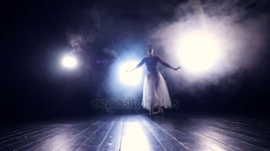 Zarif dans eden kadın silüeti. Ağır çekim. HD.