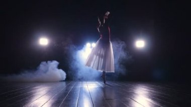 Sahne Alanı'nda dans balerinler siluet. HD.