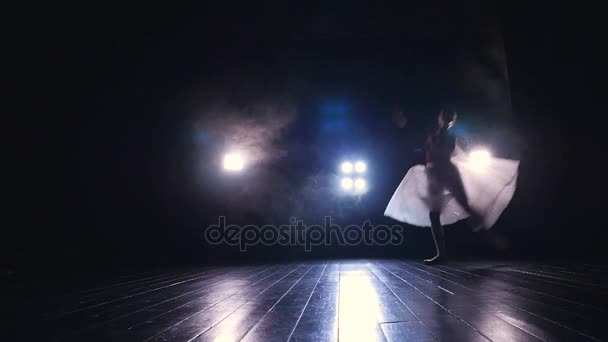 Elegantní baleríny skákání ve zpomaleném filmu. Silueta. HD. — Stock video