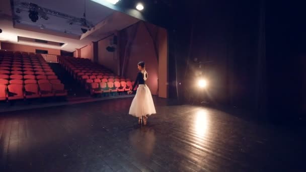 Elegant ballerina dancing in empty theatre. Steadicam. Close-up. Slowmotion. — Stock Video