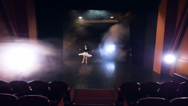 In the theatre the ballerina is dancing. Steadicam. HD. — Stock Video