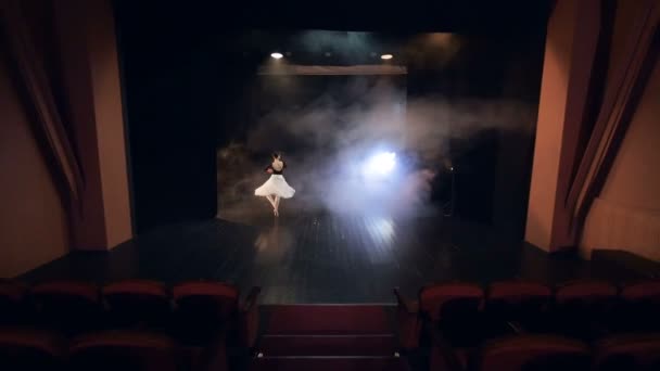 Ballerina bewegt sich in Zeitlupe über die Bühne. Schwebebahn. hd. — Stockvideo