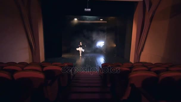 Slow motion of the dancing ballerina. Steadicam. HD. — Stock Video