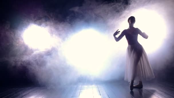 Silhouette der tanzenden Ballerina. Zeitlupe. hd. — Stockvideo