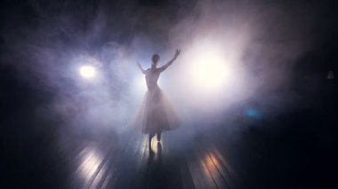 Balerinler siluet geri dönüyor. Ağır çekim. HD.