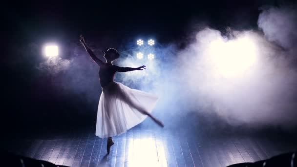 Danza magica della ballerina. Silhouette. Al rallentatore. HD . — Video Stock