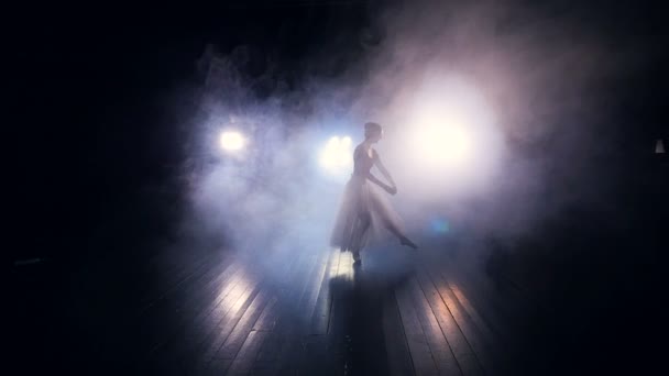 女式舞蹈慢的运动。剪影。高清. — 图库视频影像