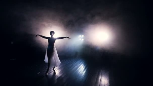 Frau tanzt im langen Tutu-Kleid. Zeitlupe. Dollly. hd. — Stockvideo