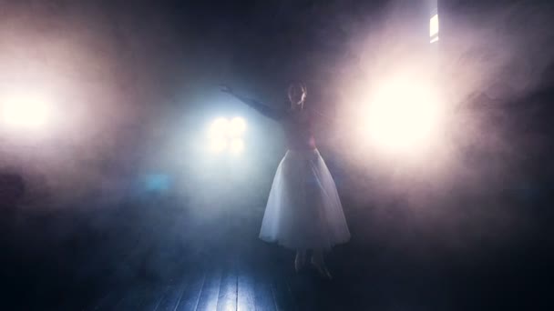 Ballerina bewegt sich im Nebel. Silhouette. Schwebebahn. hd. — Stockvideo