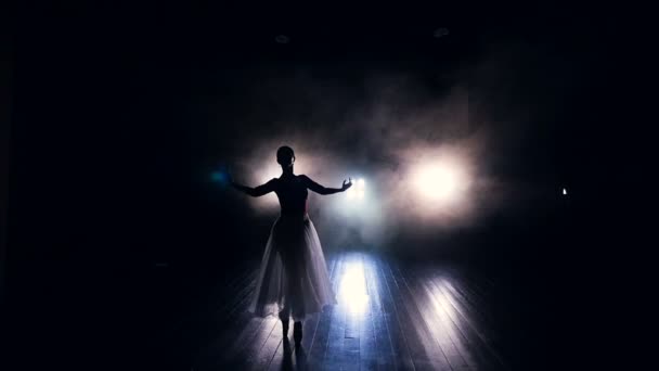 Ballerinas performance. Silhouette. HD. — Stock Video