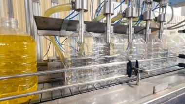 Endüstri/sanayii donatımı için şişe ayçiçek yağı doldurma. Fabrika üretim hattı. 4k.