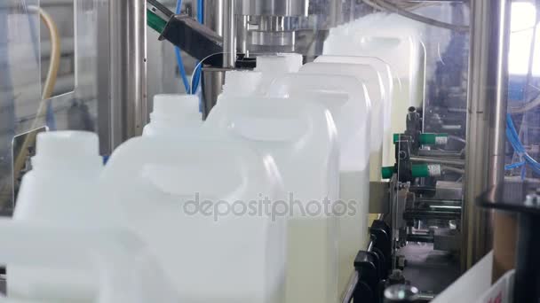 Macchina industriale che stringe i tappi delle bottiglie sulle bottiglie di plastica sul trasportatore. 4K . — Video Stock
