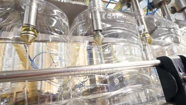 Equipo de fábrica que vierte aceite de girasol en las botellas que se mueven en la línea de producción. 4K . — Vídeos de Stock