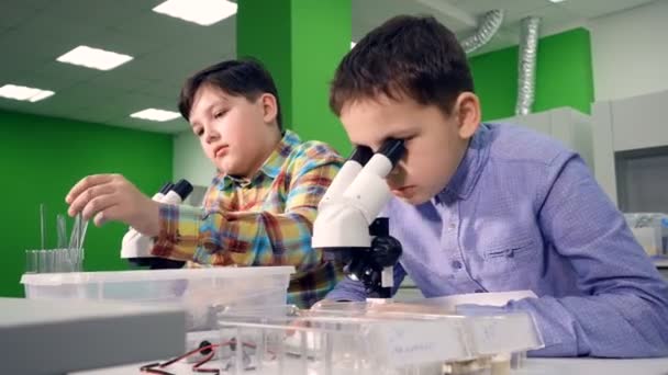 El primer plano de los chicos que trabajan en el laboratorio. 4K . — Vídeo de stock