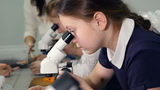 男孩和女孩在显微镜下看的画像。4 k. — 图库视频影像
