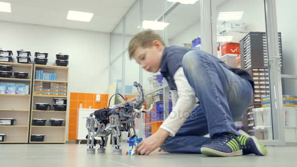 Хлопчик грає з роботом-слоном. 4-кілометровий . — стокове відео