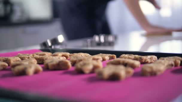 De close-up opnames van de bereid cookies. Steadicam. HD. — Stockvideo