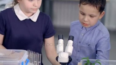 İki ilkokul çocuklarının mikroskobu arıyoruz. Yakın çekim. 4k.