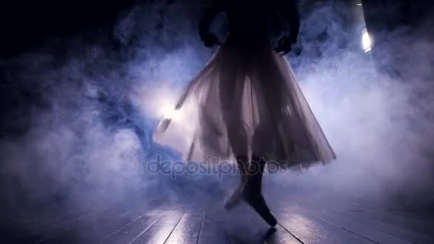 Graceful ballerina dancing on her toes — Stock Video