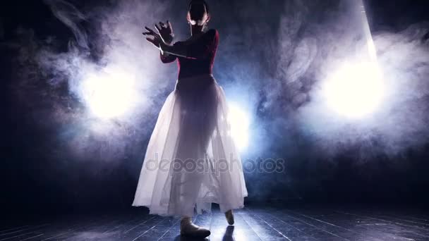 Bailarina haciendo movimientos graciosos en la oscuridad — Vídeos de Stock