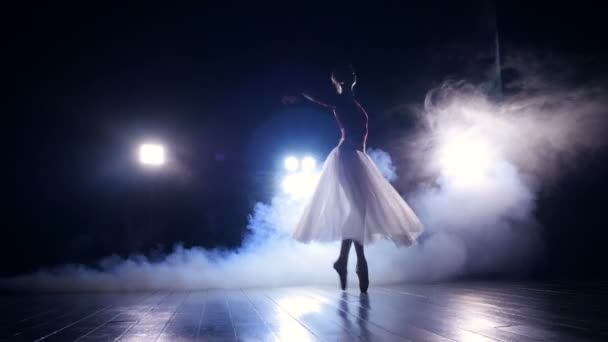 Professionelle Ballerina tanzt auf ihren Zehen — Stockvideo