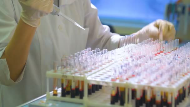Trabalhador médico a fazer análises ao sangue . — Vídeo de Stock
