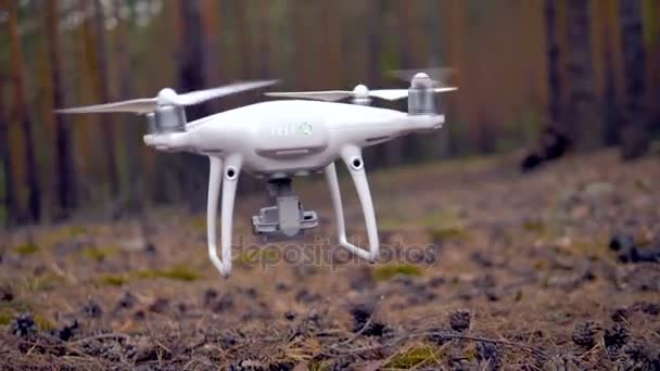 Eine Drohne fliegt im Wald, Zeitlupe. — Stockvideo