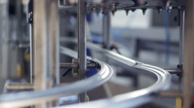 Plastik şişe bir bitki, su ile doldurulması için hazırlanmaktadır.