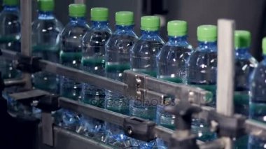 Plastik şişe su ile taşıma sanayi konveyör.
