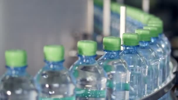 PET flessen gevuld met water bewegen op een transportband. — Stockvideo
