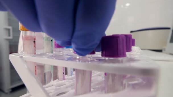 Close up of a woman putting  the test tubes into assays for analysis — Stock Video